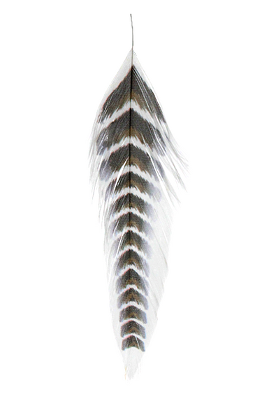 GALLOUP’S FUSH FEATHERS-GRIZZLED