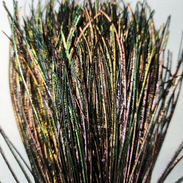 STRUNG PEACOCK HERL, DYED