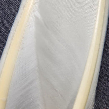 DUCK QUILL 2 MATCHED PAIRS - WAPSI