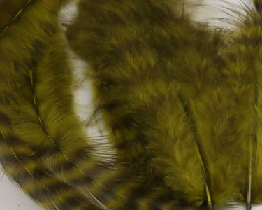 GRIZZLY SOFT HACKLE