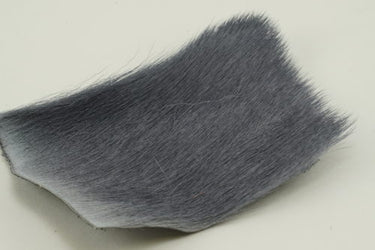 CALF BODY HAIR