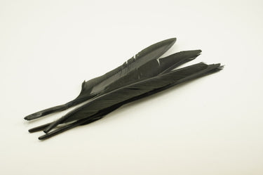 DUCK QUILL 2 MATCHED PAIRS - WAPSI