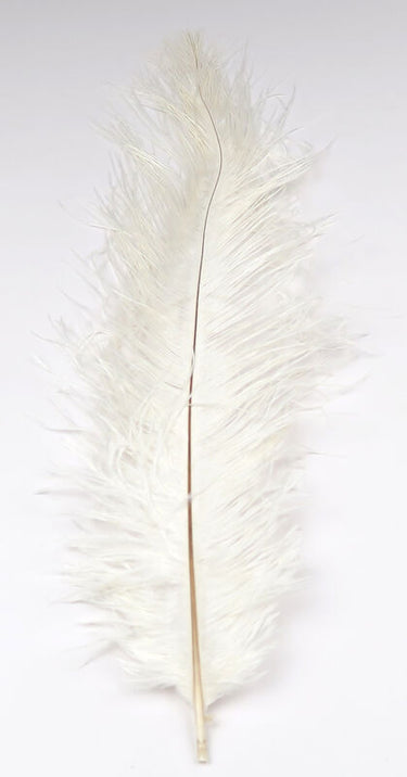 UV2 OSTRICH PLUME