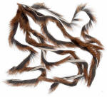 PINE SQUIRREL ZONKERS - STANDARD