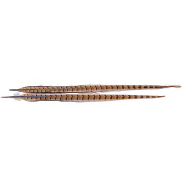 1 PAIR RINGNECK TAIL FEATHERS