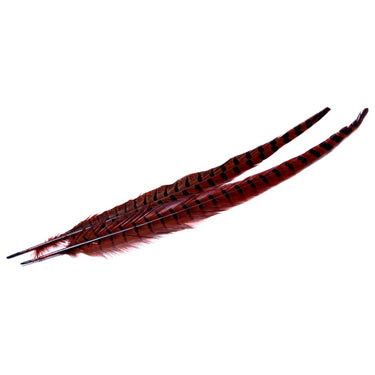 1 PAIR RINGNECK TAIL FEATHERS