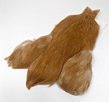 4 BS HEN CAPE