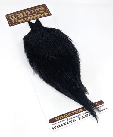 COQ DE LEON CAPE