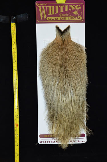 COQ DE LEON CAPE