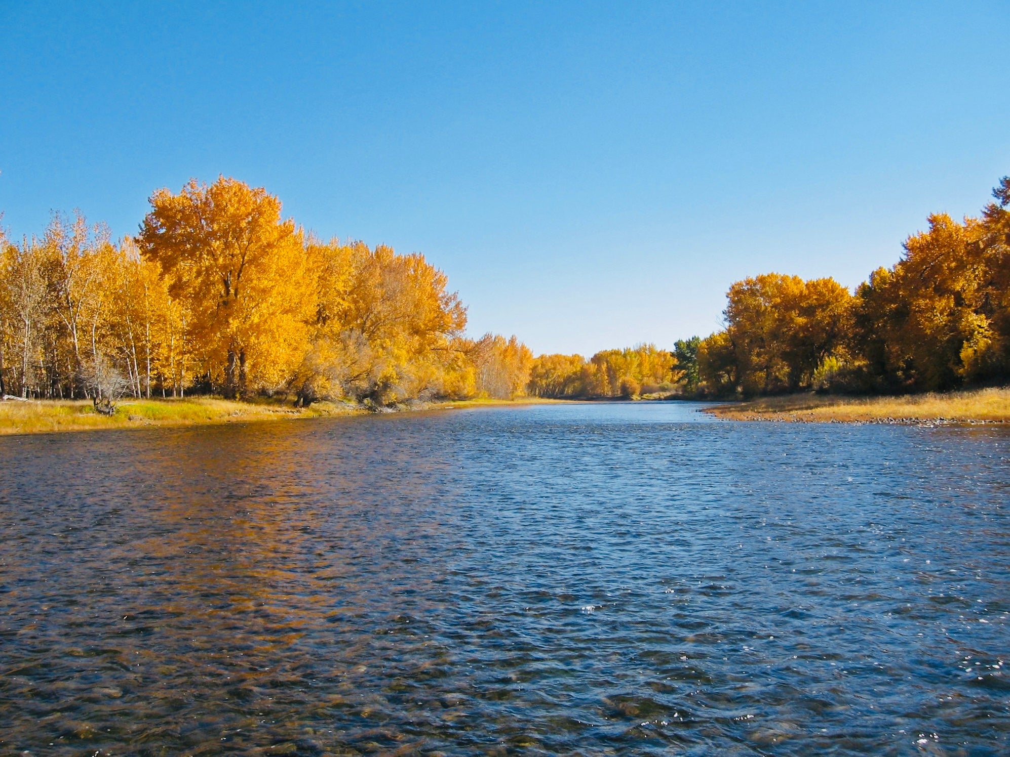 The Magic of Fall Fly Fishing in Southwest Montana – The Stonefly