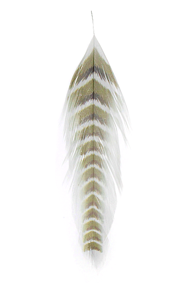 GALLOUP’S FUSH FEATHERS-GRIZZLED