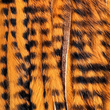BARRED RABBIT HALF SKIN ZONKED