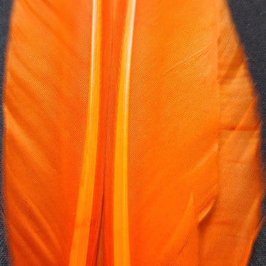 DUCK QUILL 2 MATCHED PAIRS - WAPSI