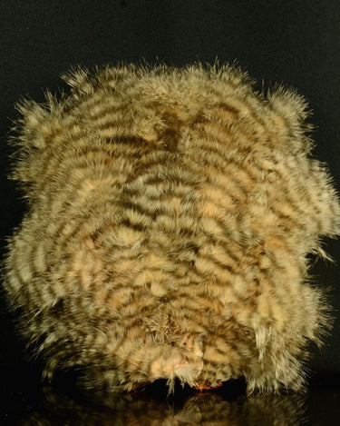 CHICKABOU PATCH