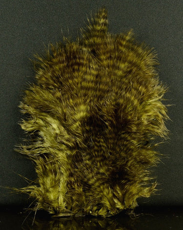 CHICKABOU PATCH