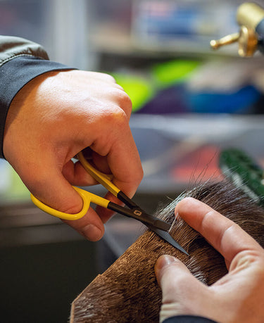 ERGO HAIR SCISSORS 4.5"