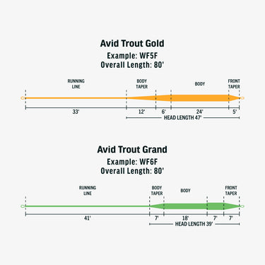 AVID TROUT - GOLD