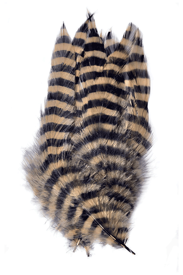BARRED SCHLAPPEN