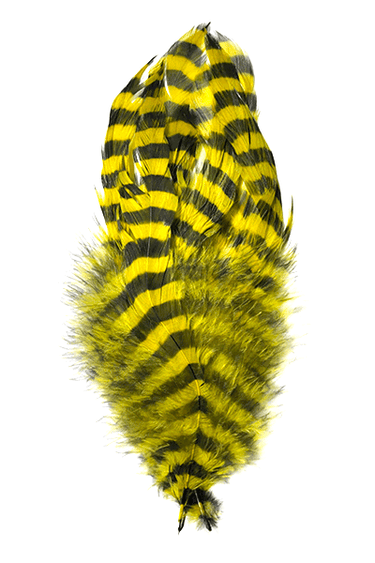 BARRED SCHLAPPEN