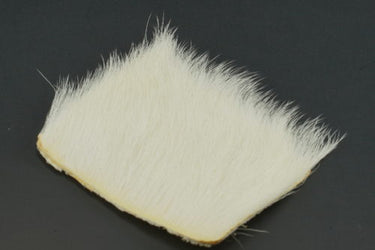 CALF BODY HAIR