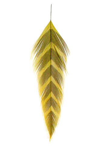 GALLOUP’S FISH FEATHERS-ARROWHEAD