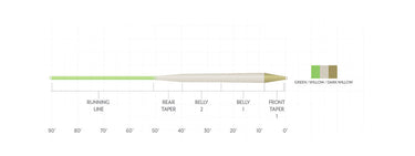 AMPLITUDE SMOOTH TROUT STANDARD