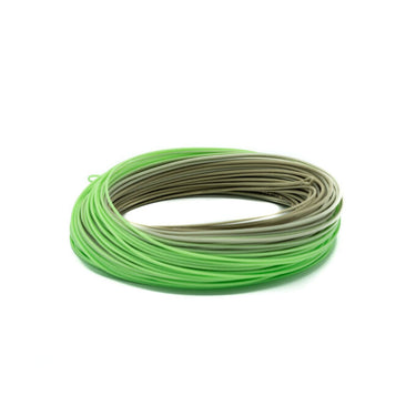 AMPLITUDE SMOOTH TROUT STANDARD