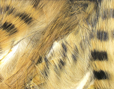 BLACK BARRED MAGNUM RABBIT STRIPS