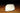 CALF BODY HAIR WHITE - HARELINE