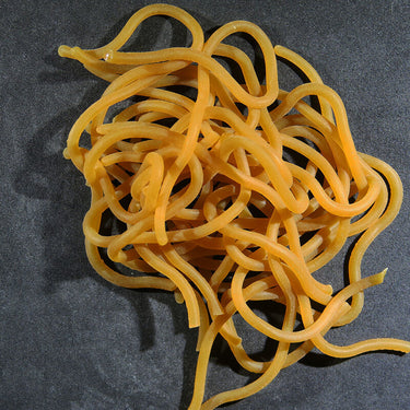 CASTER'S SQUIRMITO THE ORIGINAL SQUIGGLY WORM MATERIAL