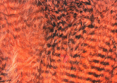 FINE BLACK BARRED MARABOU FEATHERS