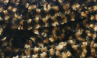 FLY FISH FOOD SMALL STONEFLY CHENILLE