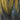 GALLO DE LEON SADDLE FEATHERS