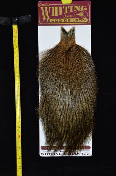 COQ DE LEON CAPE