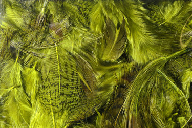 PREMIUM HUNGARIAN PARTRIDGE FEATHERS