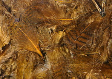 PREMIUM HUNGARIAN PARTRIDGE FEATHERS