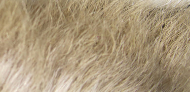 SNOWSHOE RABBIT FEET