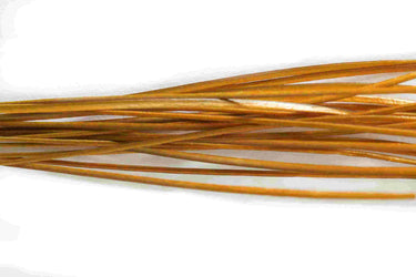 STRIPPED QUILLS