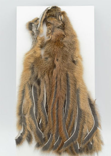 PINE SQUIRREL SKIN, ZONKED