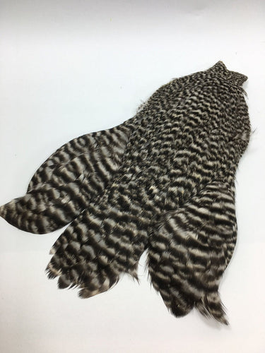 4 BS HEN CAPE