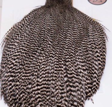 WHITING BRONZE CAPE