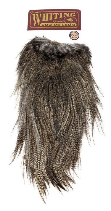 COQ DE LEON BRONZE SADDLE